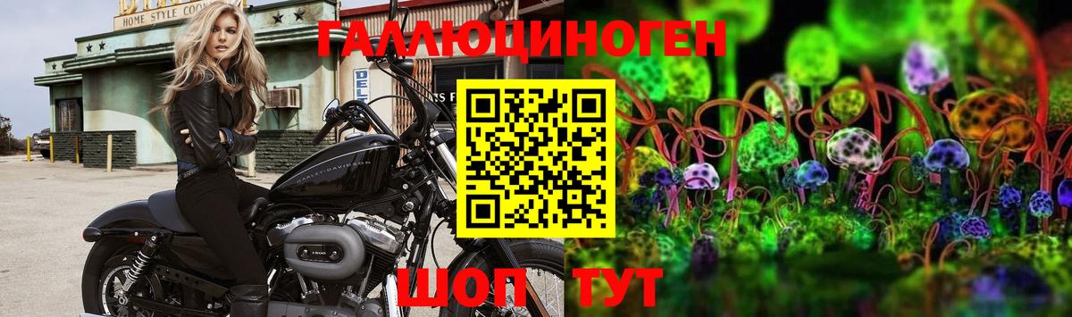 Галлюциногенные грибы Magic Shrooms  Вход с VPN  Гурьевск 
